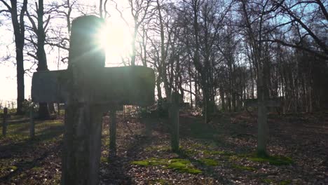 sunlit cemetery crosses in a forest