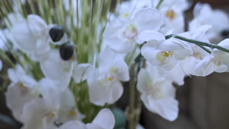 Assortment-of-flowers---reeds-in-vase