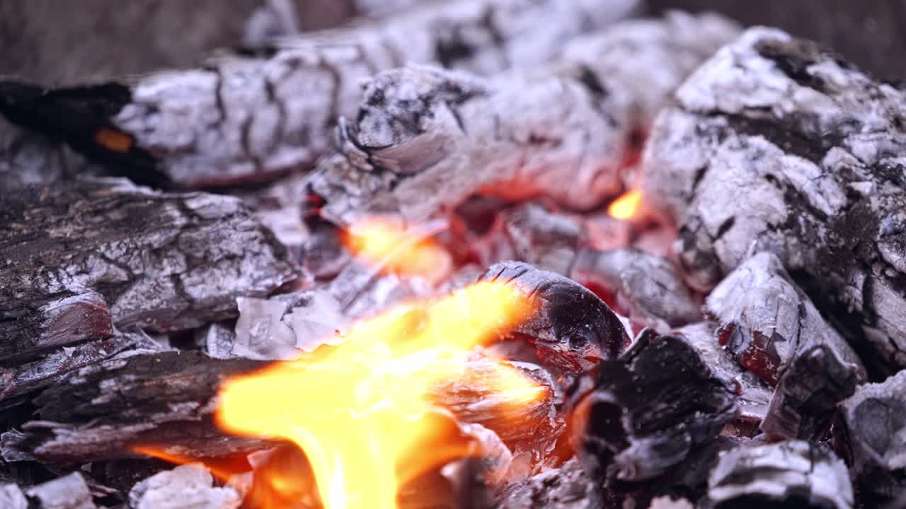 Torn american money burning in a fire. Pieces of one hundred dollars banknote falling into flames and burn up on fire burned wood.
