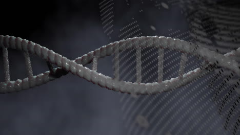 animation of dna strand spinning and data processing on grey background