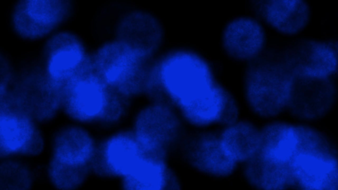 연기 배경 생성 컬러 입자 애니메이션 모션 그래픽