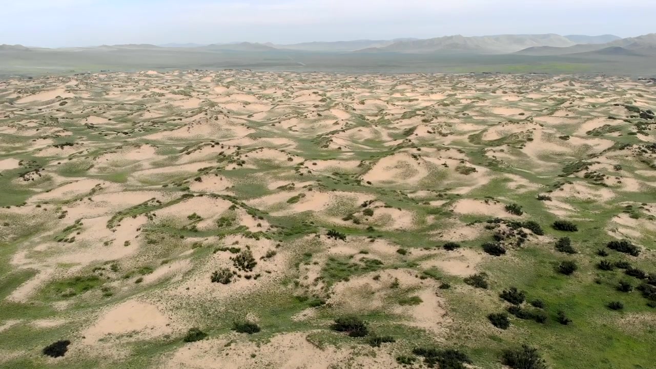 Vista aérea de dunas de arena y hierba verde en la estepa mongola