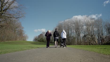 family relations, outdoor weekend leisure, newborn baby memories, slow-mo