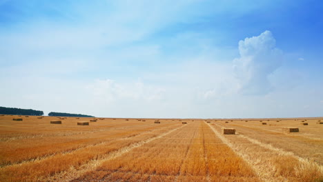 hay bales in a golden field under a blue sky