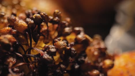 primer plano cinematográfico macro abstracto de cabeza y brotes de brócoli a la parrilla