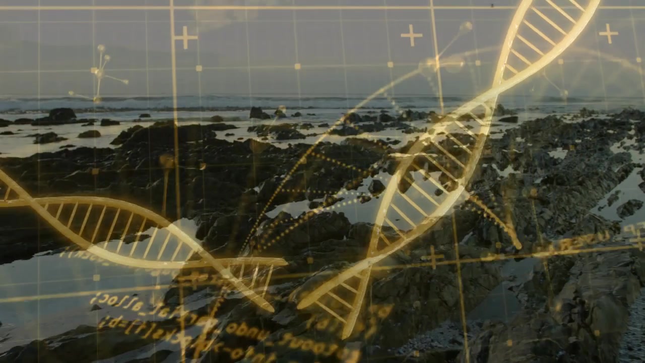 Lavvandsstrand afslører en gylden helix, der bølger mod horisonten med flimrende noder til datavisning.