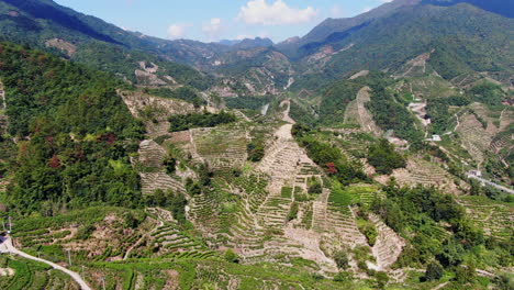 impresionante vista aérea de las plantaciones de té en las laderas de las montañas