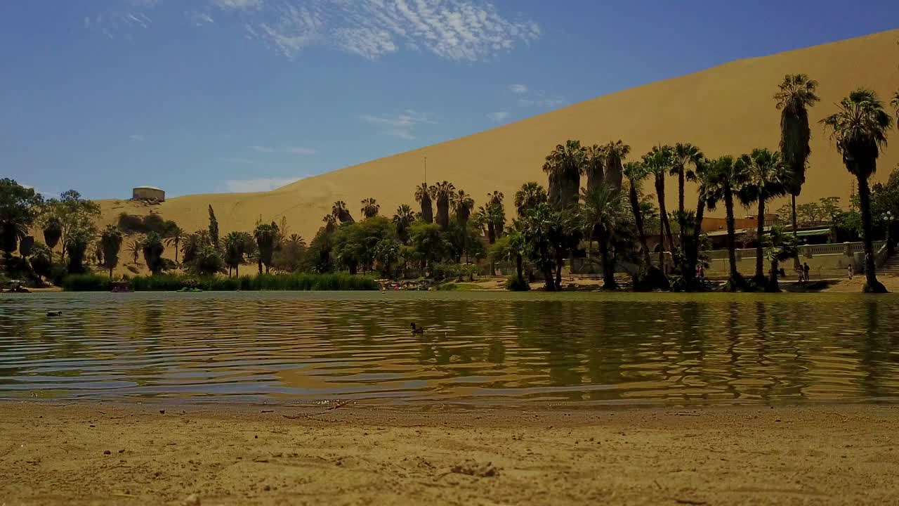 lago oasis de huacachina con ángulo bajo con vistas a palmeras y dunas de arena en el fondo
