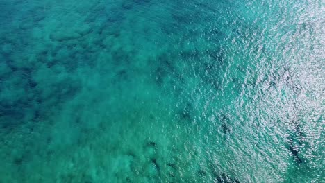 coral reef beneath the ocean surface from a drone