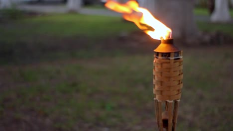 toma al aire libre de una antorcha tiki y una llama