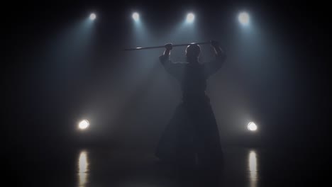 kendo silhouette performance