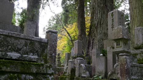 tumbas en koyasan en japón durante los colores de otoño