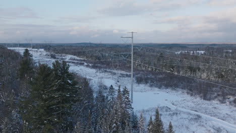 líneas eléctricas de alta tensión en un bosque de invierno rural, aérea