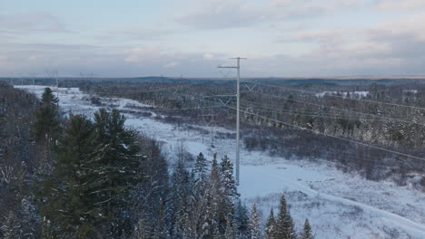 high voltage electrical power lines in a rural winter forest, aerial