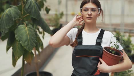 mujer joven en uniforme de trabajo va al invernadero con una planta en maceta