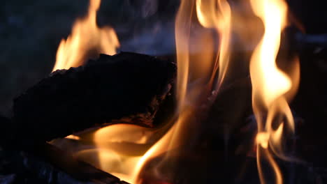 firewood in flame close-up. burning bonfire wood and ember close up
