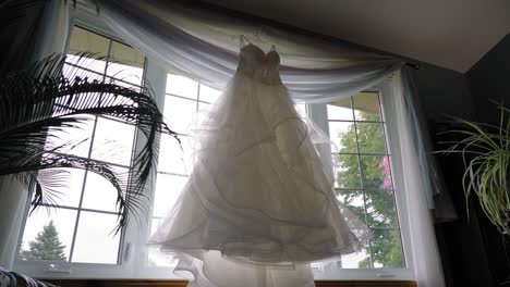 Gorgeous-reveal-from-behind-a-fern-plant-of-a-ball-style-designer-wedding-dress-hanging-it-a-well-lit-living-room-window