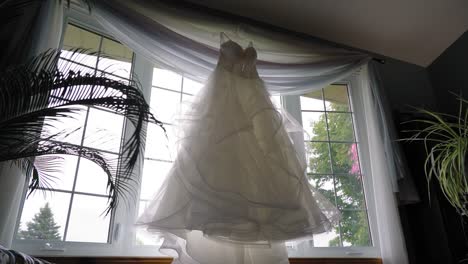 gorgeous reveal from behind a fern plant of a ball style designer wedding dress hanging it a well lit living room window