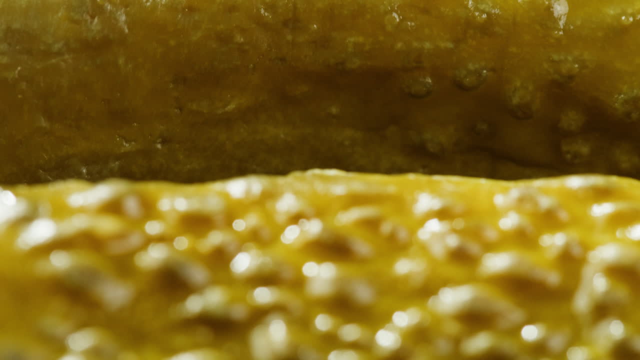 오징어 오징어 클로즈업