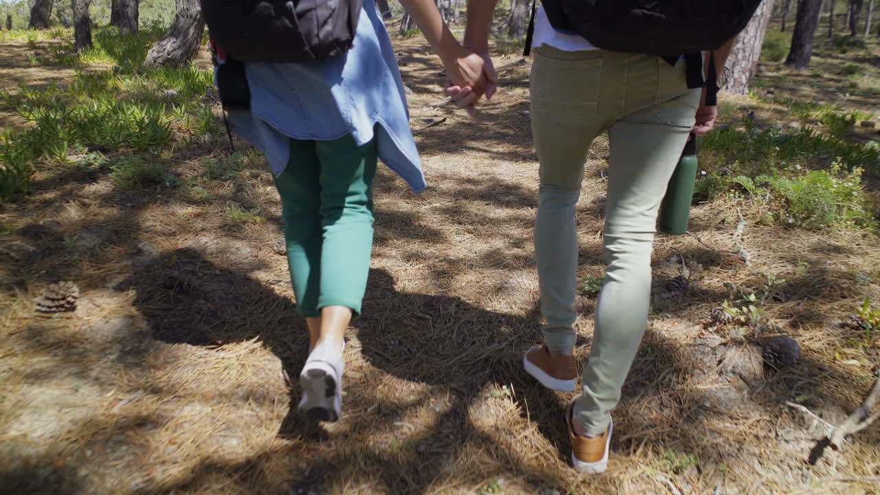 pareja cogida de la mano y caminando por el bosque