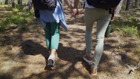 couple holding hand and walking in forest