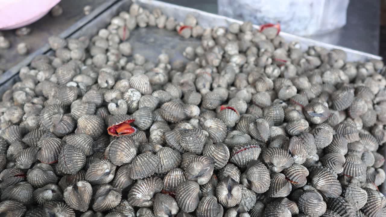 해산물 시장에서 코클을 분류하는 것.