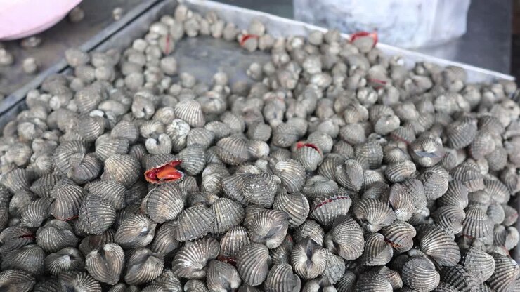 Sorting through cockles in a seafood market.