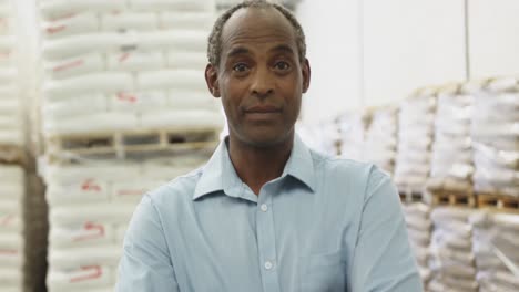 portrait of middle aged male warehouse worker 4k