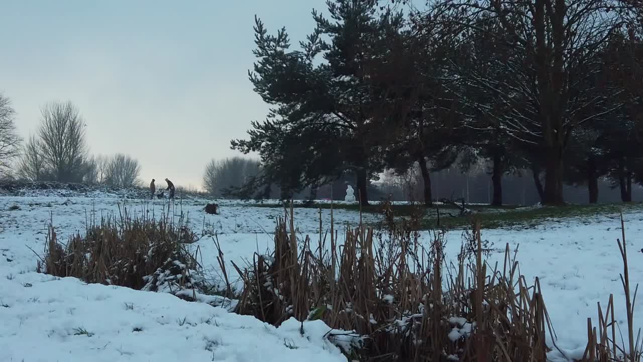 escena de invierno en el frío campo nevado de la familia con muñeco de nieve