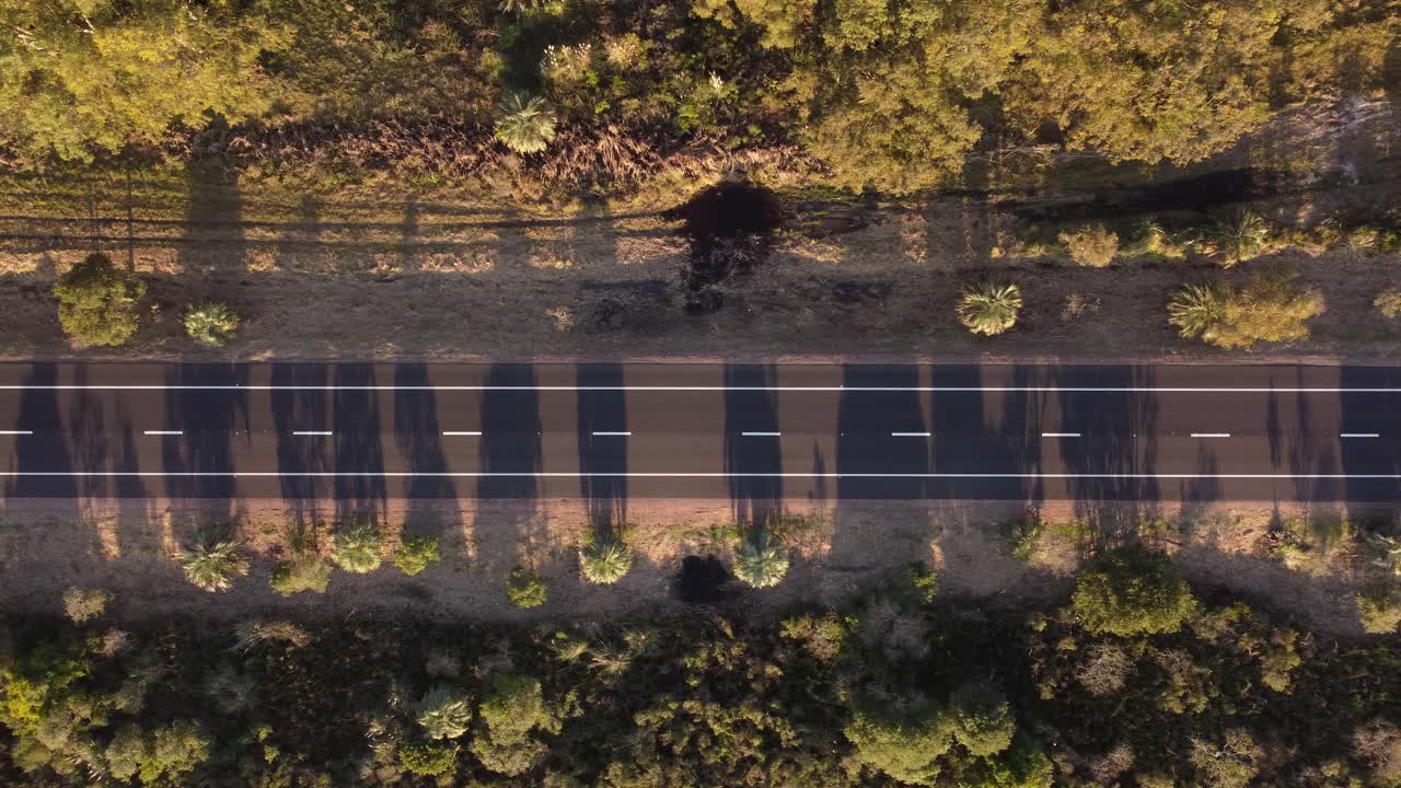 vista superior aérea hacia abajo sobre una carretera entre los palmerales y el tráfico que pasa