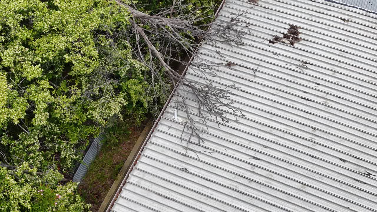 Overhead drone shot reveals storm damage with a large tree limb resting on corrugated roofing