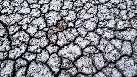 striking geometric patterns created in the mud of a dried up body of water