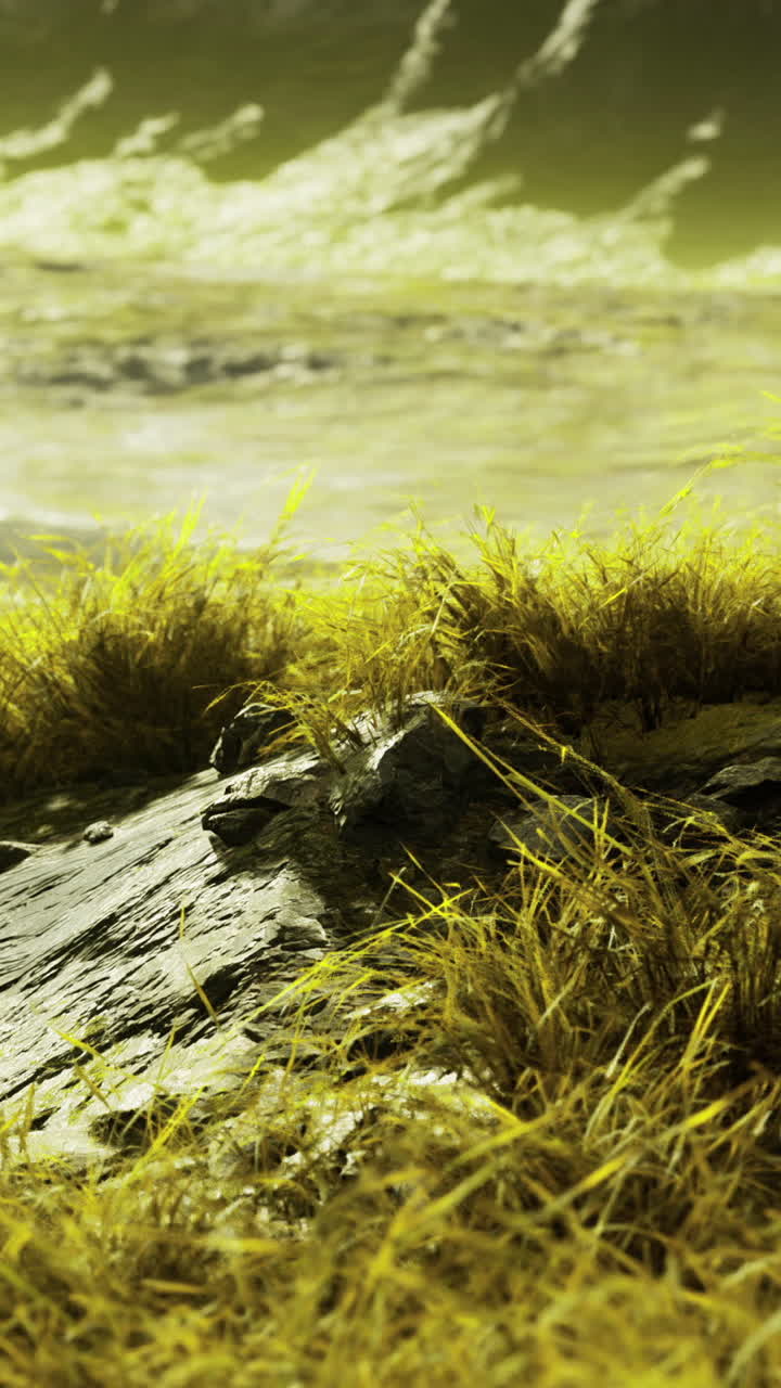 Erba verde e rocce vicino all'acqua durante una giornata di sole nella natura.