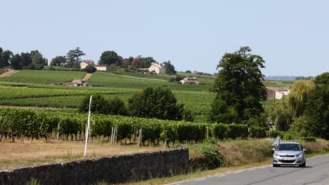 french countryside vineyard landscape with car on road