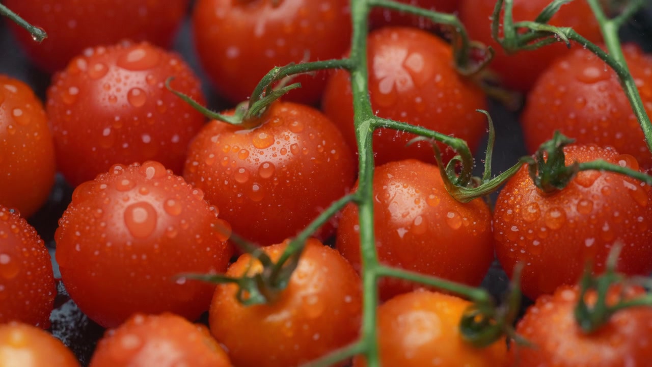 Cherrytomater dækket af vanddråber i slowmotion.