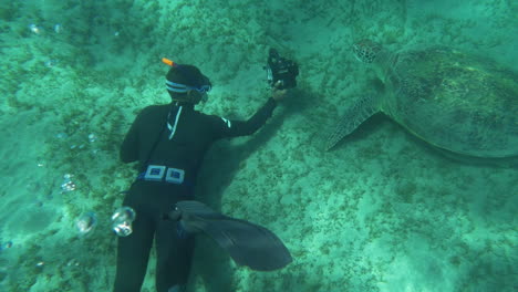 diver with camera shooting sea turtle