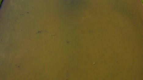 Fantastic-aerial-top-view-flight-Fish-swarm-in-pond
Castle-Nymphenburg-Palace-landscape-City-town-Munich-Germany-Bavarian,-summer-sunny-blue-sky-day-23