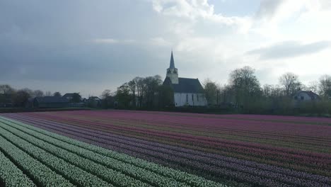 Low-Light-Landschaft-Mit-Tulpenfeld,-Weißer-Kapelle-Und-Dramatischen-Wolken-Im-Hintergrund