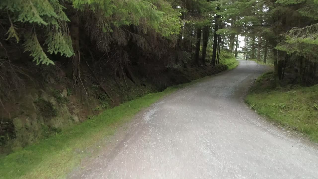 녹색 숲, 위 클로 산으로 걸어가는 공중 비행 스포츠 여성