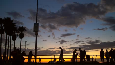 Siluetas-de-skaters-en-Venice-Beach