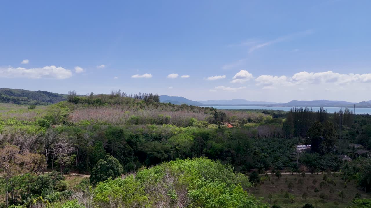 드론 영상은 밝은 파란 하늘 아래 태국 푸켓의 활기찬 초록색과 조용한 언덕을 포착합니다.