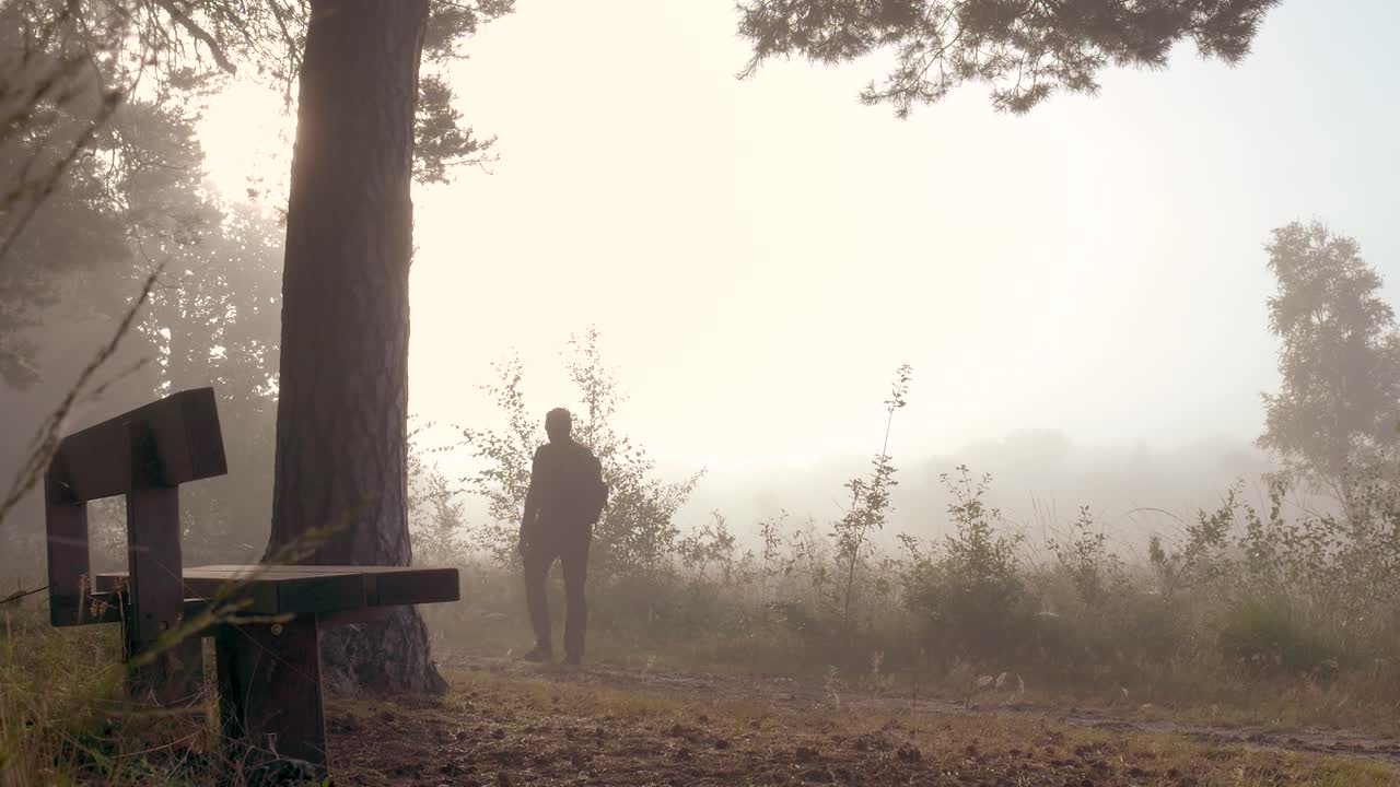 Foggy Forest Trail with Bench and Hiker