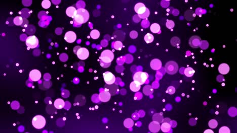 qué hermoso bokeh. loop de video.