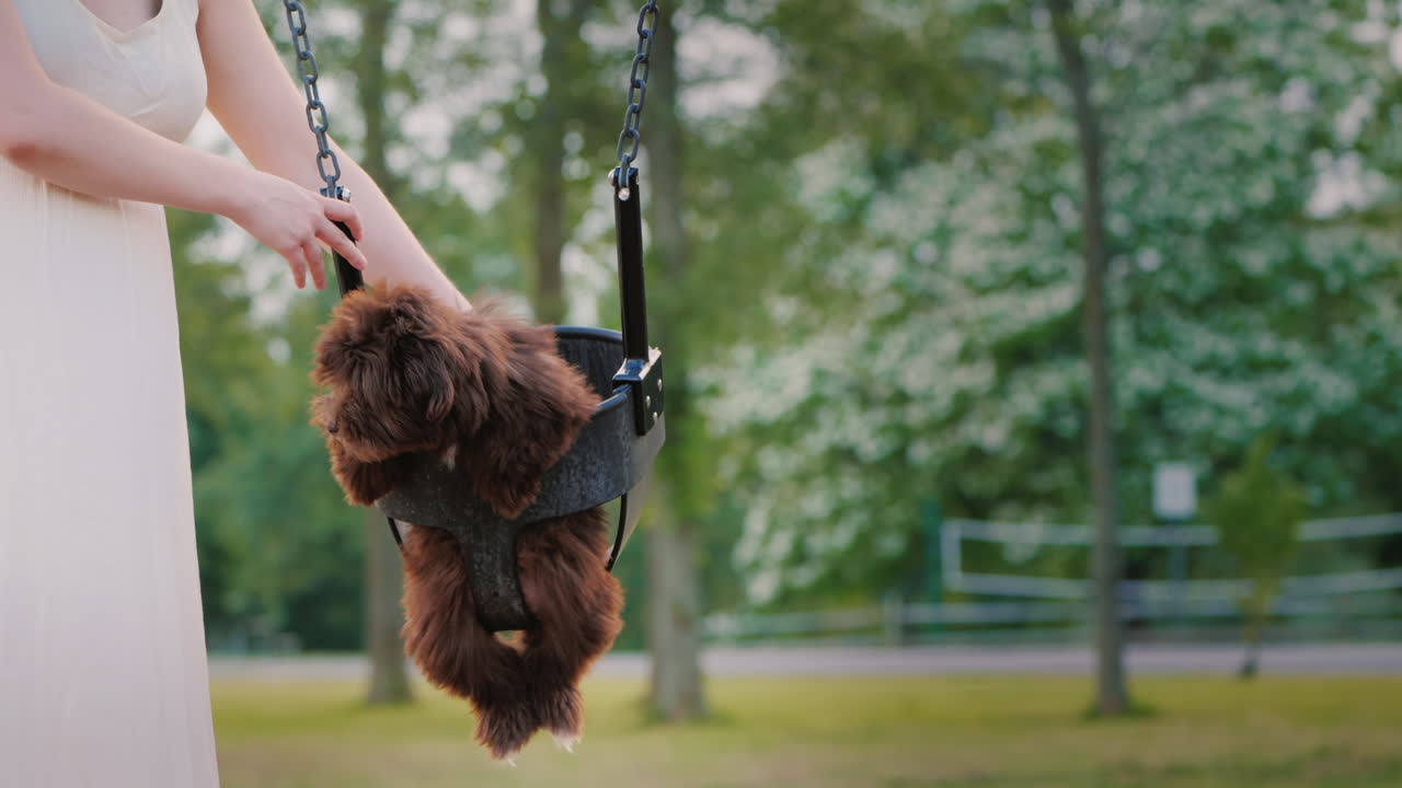 여자는 공원에서 그네에 그녀의 강아지를 롤