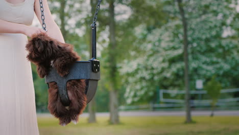 Woman-Rolls-Her-Puppy-On-A-Swing-In-The-Park