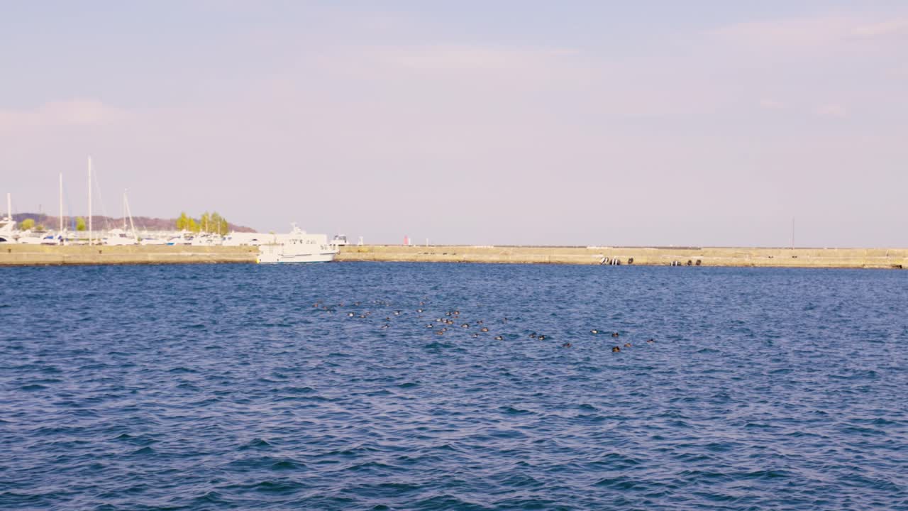 오타루 최고의 뷰