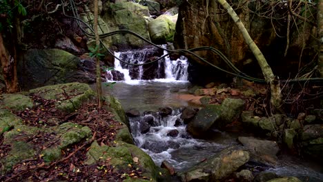 hermosa pequeña cascada en el bosque