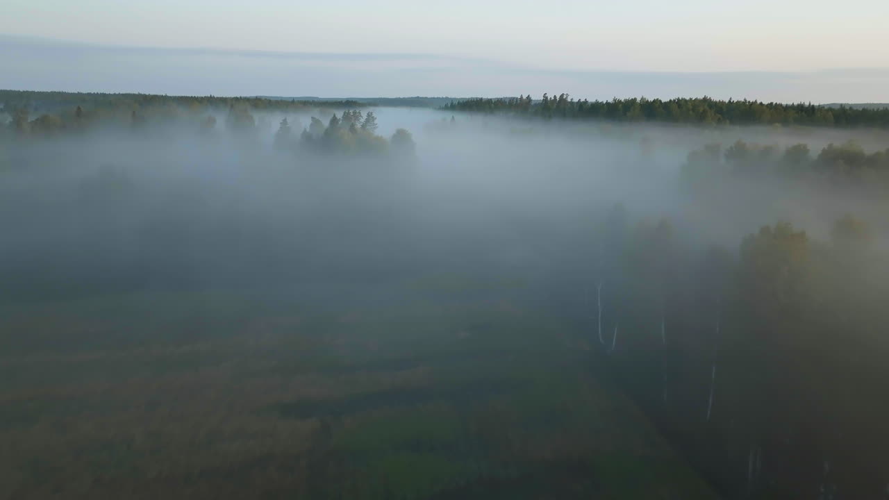 스칸디나비아 의 가을 저녁 에 안개 가 가득 한  과 숲 위 를 낮게 날아다니는 공중 사진