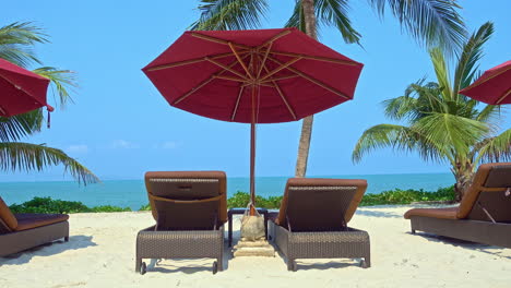 luxury travel destination, beach beds, white sand, sunshades, palms and splendid ocean view, static full frame