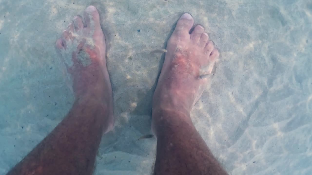 맑은 바닷물에서 인간의 다리와 발 피부를 먹는 작은 물고기의 특이한 슬로우 모션 수중 영상